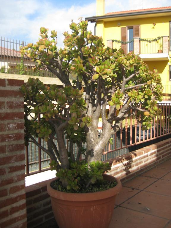 Villa Nina Trecastagni Buitenkant foto